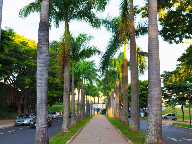 Campus Santa Mônica